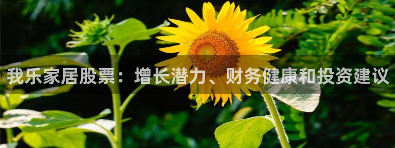 ug环球假网一比一