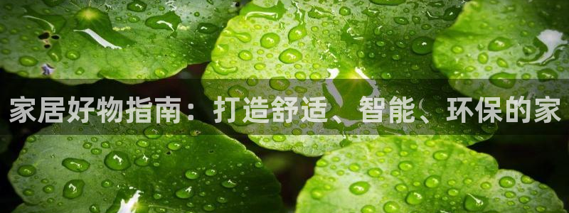 ug环球正网开户