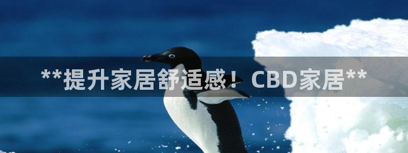 ug环球正网