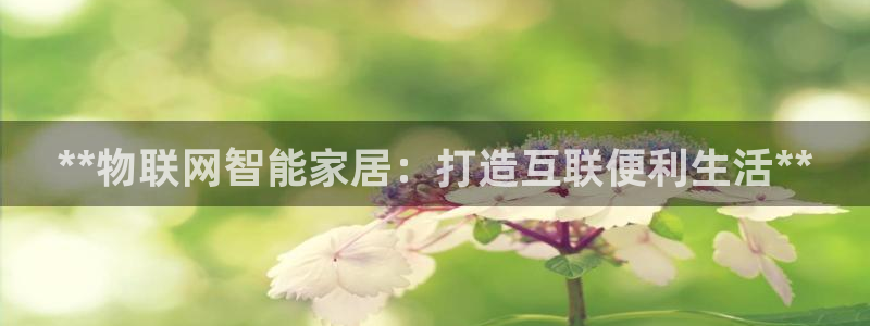 ug环球官网会员