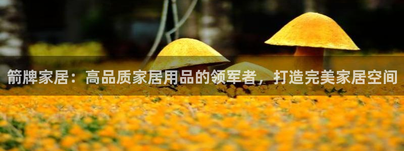 ug环球正网