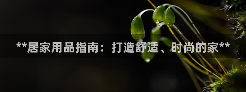 Ug环球私网一比一