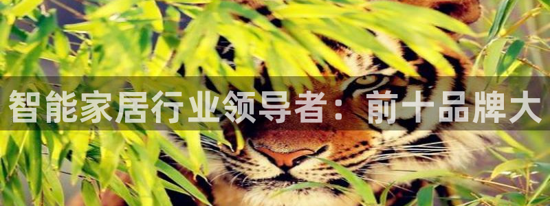 ug环球会员注册开户