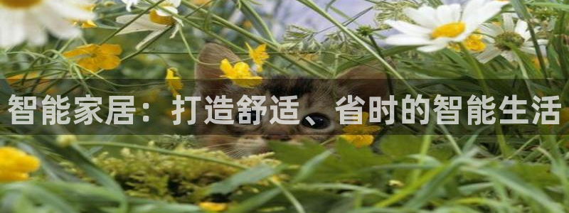 环球ug包杀网一比一