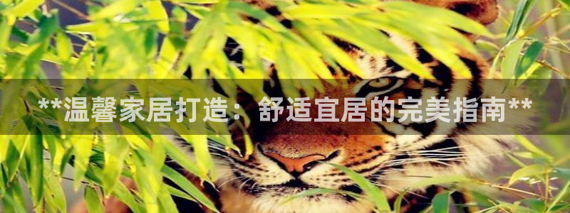 ug环球买分卖分