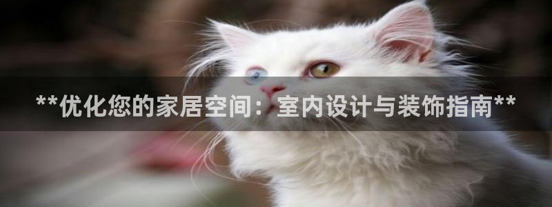UG环球会员官方