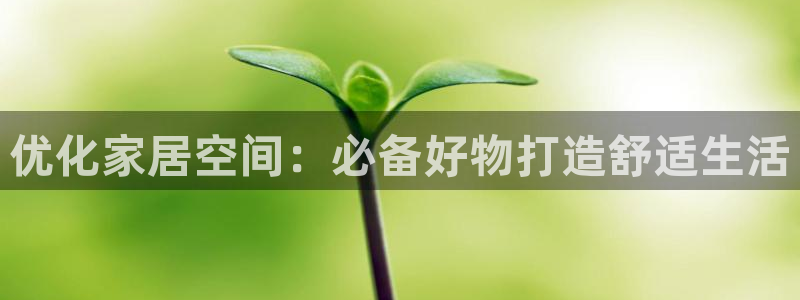 ug环球假网一比一