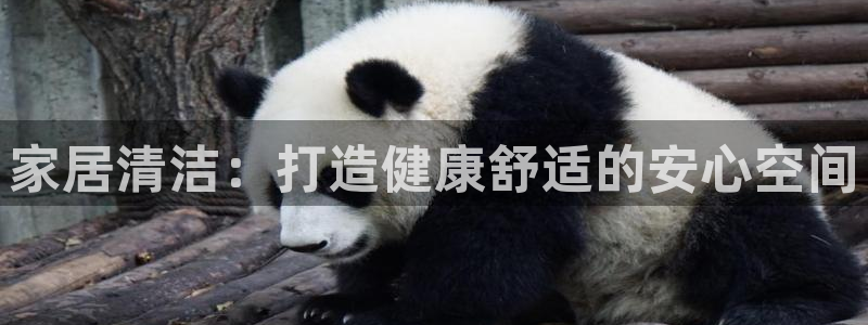 ug环球会员手机版下载