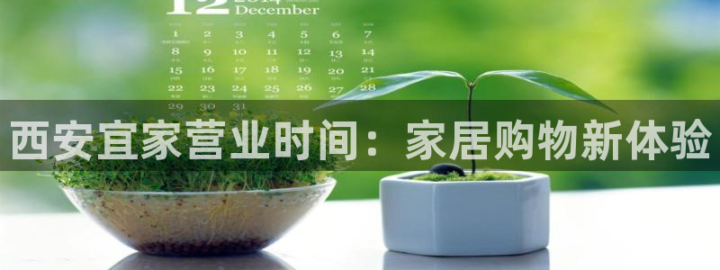 UG环球代理