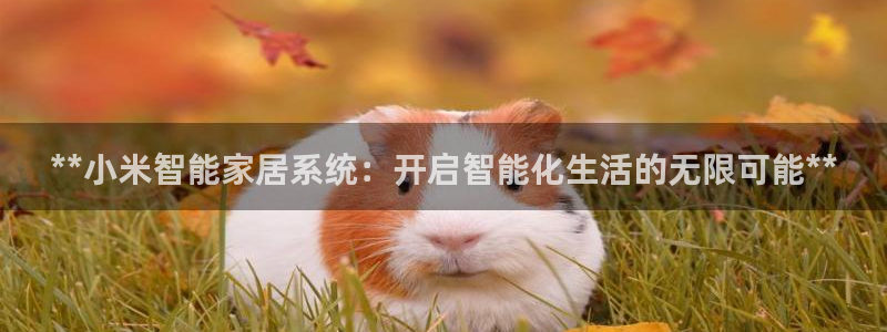 ug环球官网入口