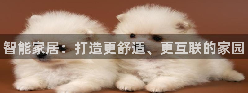 ug环球假网一比一人才