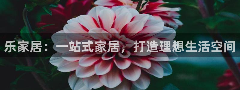 ug环球国际