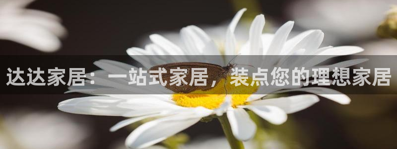 ug环球会员手机版下载