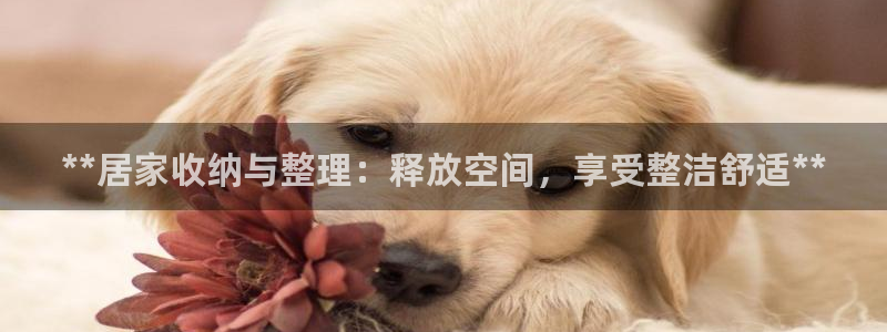 UG环球官网
