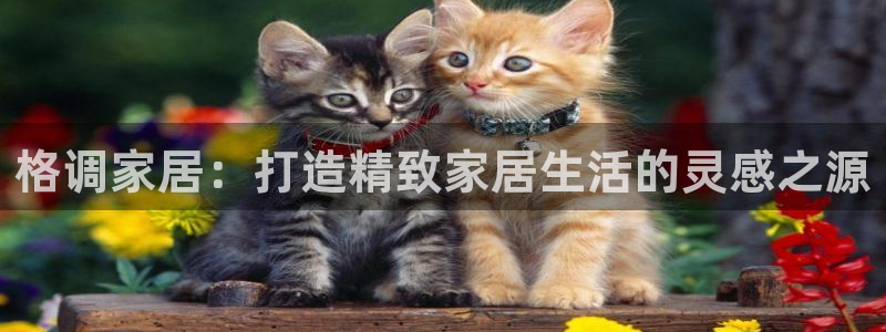 ug环球会员登陆