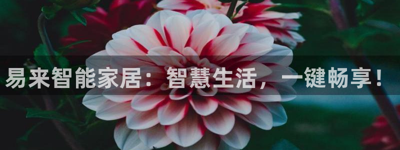 ug环球视讯手机版官网