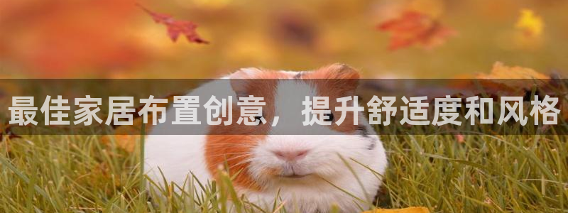 ug环球买代理