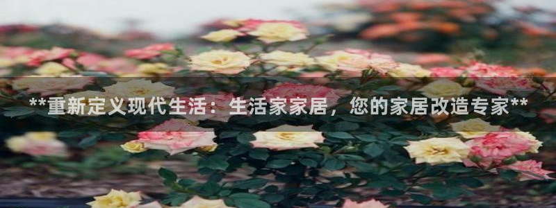 ug环球密码重置是多少位数啊