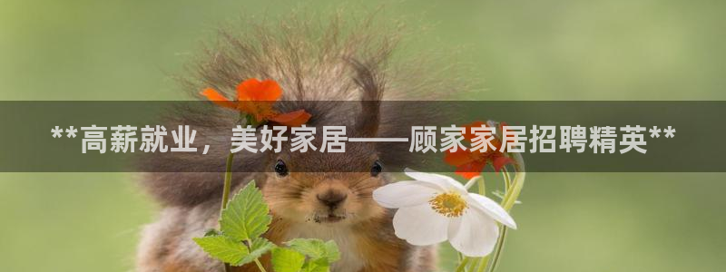 ug环球官网开户