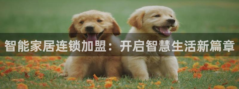 ug环球官网会员
