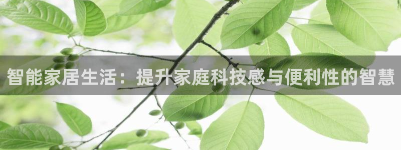 ug环球正网开户