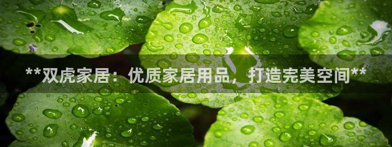 ug环球找唯xkk 908