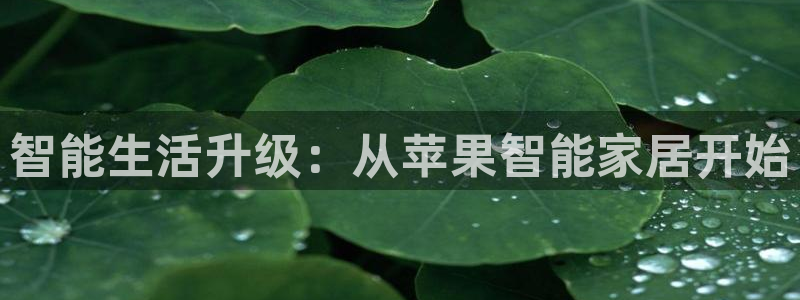 ug环球会员