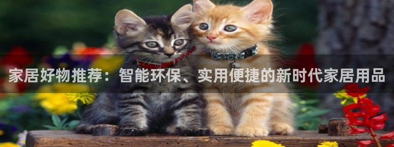 UG环球代理合作