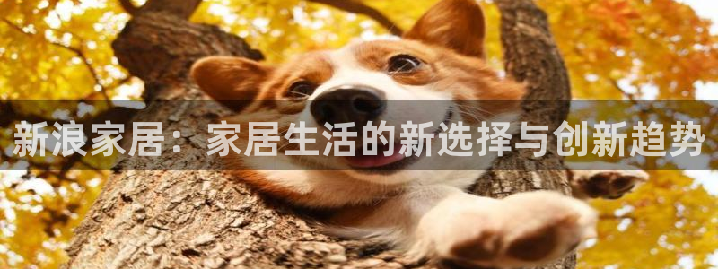 环球ug死网