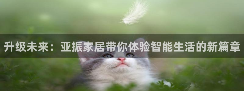 ug环球代理加盟