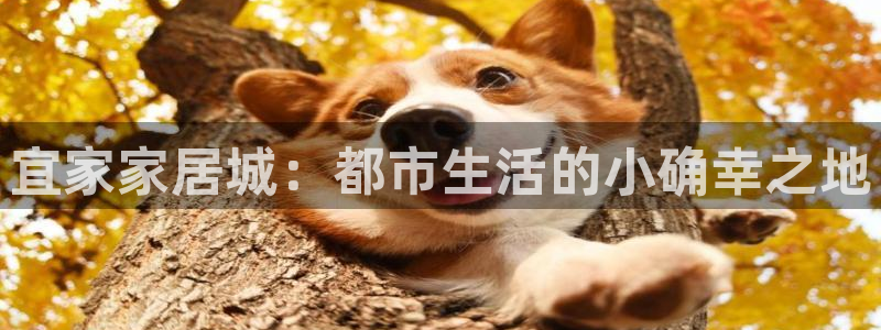 ug环球视讯真假