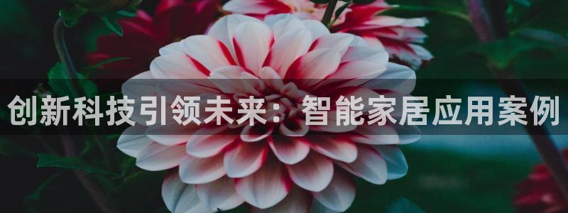 ug环球官网开户
