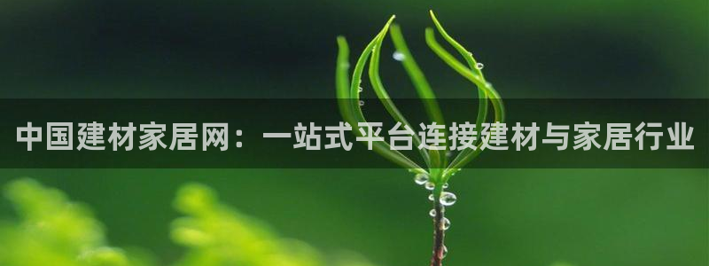 UG环球国际在线